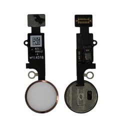 (Cosmetic only) Home Button Flex for iPhone 7 / 7 Plus / 8 / 8 Plus / SE (2020) / SE (2022) (Rose Gold)