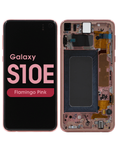 Service Pack - OLED Screen and Digitizer Assembly w/ Frame for Samsung Galaxy S10e (G970) (Flamingo Pink)