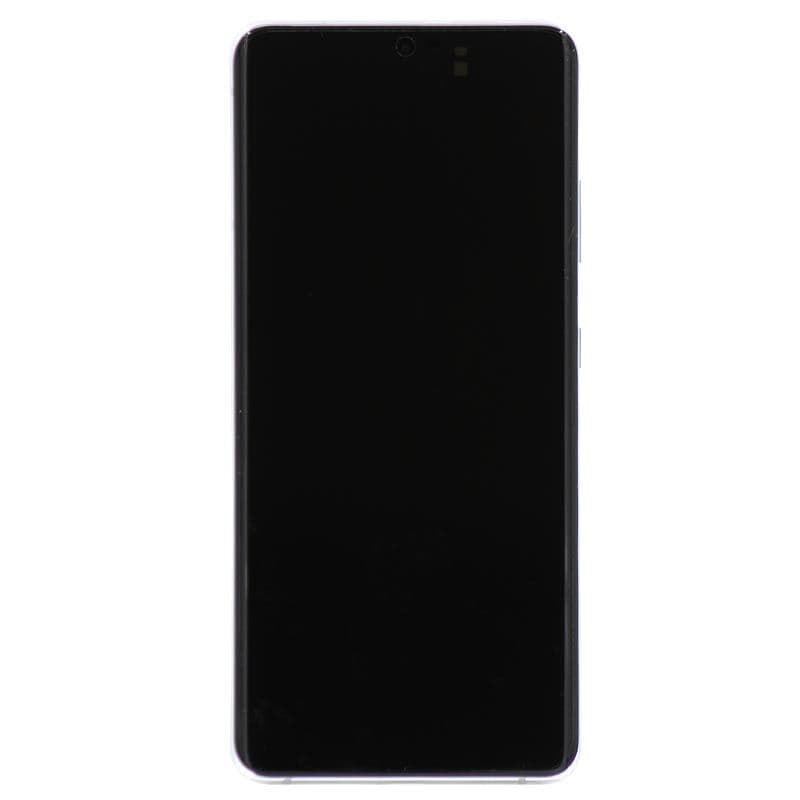 Service Pack - OLED Screen and Digitizer Assembly w/ Frame for Samsung Galaxy S21 Ultra 5G (All Carriers except Verizon 5G UW) (G988) (Phantom Silver)
